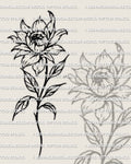 Peony tattoo stencil design, layered bloom linework, clean stem, printable stencil file for tattoo transfer.