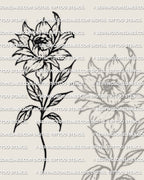 Peony tattoo stencil design, layered bloom linework, clean stem, printable stencil file for tattoo transfer.