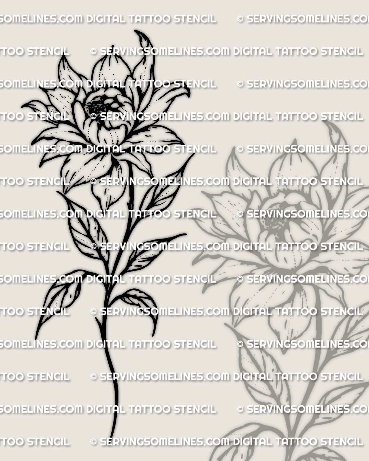 Peony tattoo stencil design, layered bloom linework, clean stem, printable stencil file for tattoo transfer.