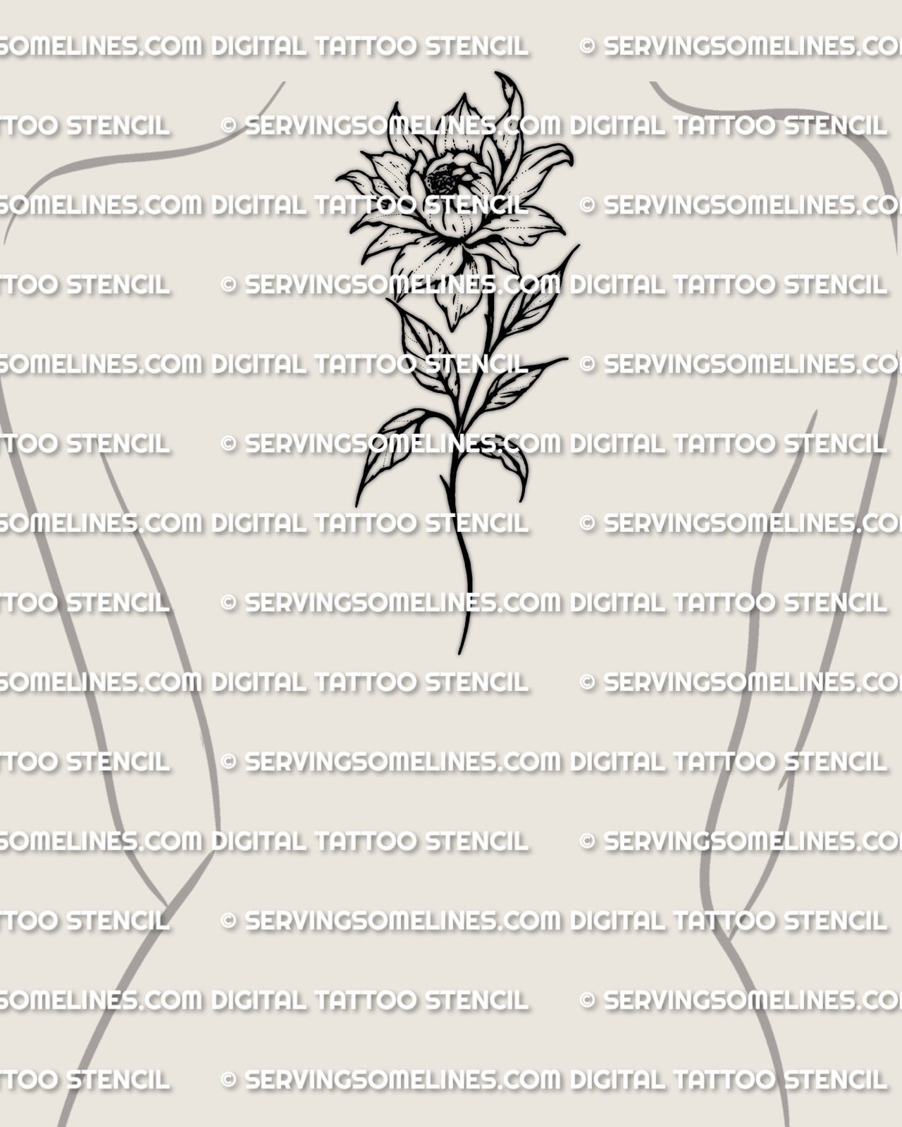 Peony tattoo stencil displayed on upper back spine placement example, rounded bloom, clean linework stencil file.
