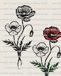 Poppy tattoo stencil set, black and color versions of a poppy flower stem, clean petals and distinct center, digital stencil download.