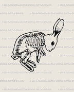 Hand-drawn rabbit skeleton tattoo stencil, creepy cute gothic bunny design in blackwork digital line art style. 