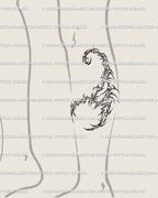 Scorpio zodiac scorpion tattoo placed on lower leg, drawn in gothic cybertribal linework, symbolic of resilience, boundaries, and protective vision.