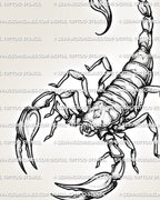  Close-up scorpion stencil tattoo detail with dot texture, raised pincers, thin legs, and arched tail for tattoo placement