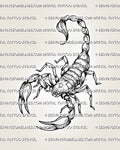     Full-body scorpion tattoo stencil with curved tail, open claws, black linework, and dot texture for a printable design