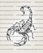     Full-body scorpion tattoo stencil with curved tail, open claws, black linework, and dot texture for a printable design