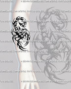 Scorpion tattoo stencil shown on forearm placement with visible claws, segmented body, hooked tail, and tribal styling.