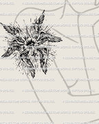 Seraphim angel tattoo stencil shown on women’s arm placement with all seeing eye symbolism, blackwork line tattoo design delivered as a printable tattoo stencil