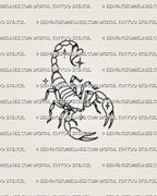 Small scorpion tattoo stencil with clean outline work, tiny sparkle accents, open claws, and a heart-shaped stinger
