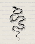 Hand-drawn snake skeleton tattoo stencil in gothic blackwork style, clean digital line design for collectors and artists. 