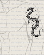 Snake tattoo stencil shown on mens bicep placement example, coiled serpent tattoo design with sharp hooks, clean outline stencil