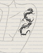 Snake tattoo stencil shown on womens arm placement example, stylized coiled serpent outline with clean edges for stencil transfer