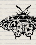 Tiger moth tattoo stencil download, bold stripe wings, black and white moth design files (PNG JPG PDF).