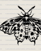 Tiger moth tattoo stencil download, bold stripe wings, black and white moth design files (PNG JPG PDF).