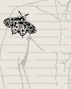 Tiger moth tattoo stencil on mens upper arm placement example, bold striped wings, clean outline.