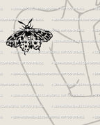 Tiger moth tattoo stencil on womens arm placement example, bold wing stripes, clean silhouette.