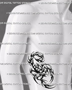 Tribal scorpion tattoo design shown on men’s rib placement with spiked edges, open claws, and a curved stinger.